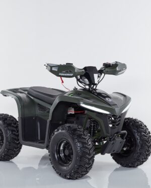 Quad Power Gamma Z 1000W Ruota 7