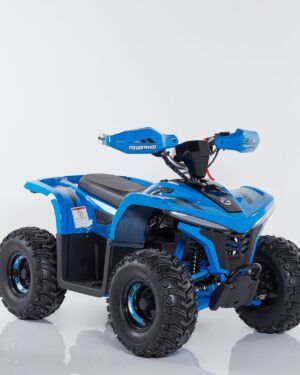 Quad Power Gamma Z 1000W Ruota 7 Batteria Litio
