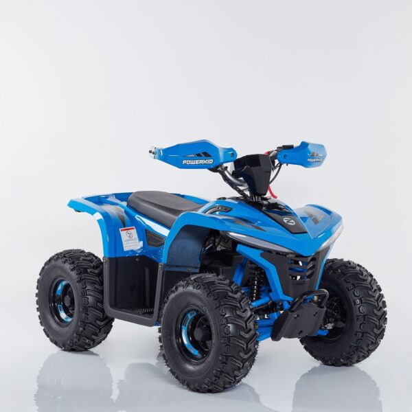 Quad Power Gamma Z 1000W Ruota 7 Batteria Litio