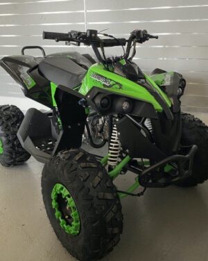 Quad Renegade 125cc MAXI Ruota 8