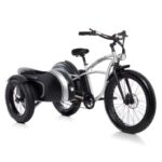 Sidecar elettrico Beach Vintage 500 Bad Bike